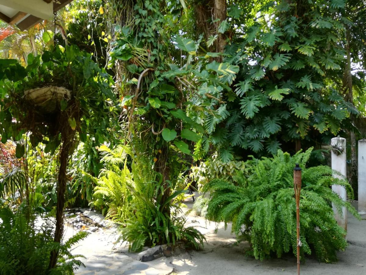 Togo B&B Farallon Playa Blanca  Ngoại thất bức ảnh