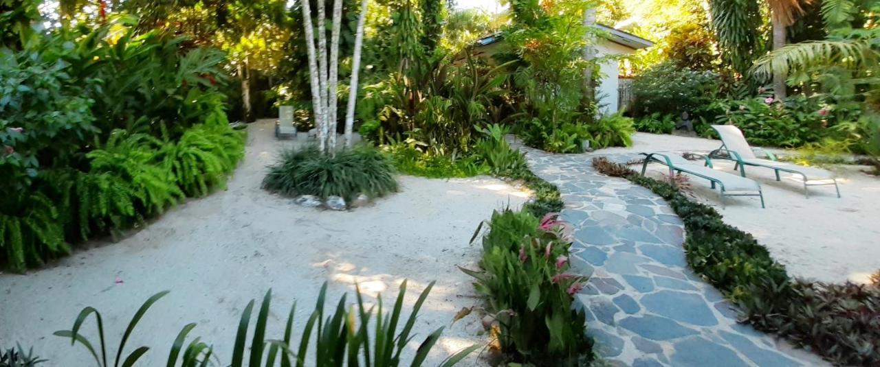 Togo B&B Farallon Playa Blanca  Ngoại thất bức ảnh